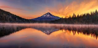 This is to test live course and this live course will tell you the reasons of day today life happiness, people can remain happy and can worrk happily if they start doing medidation daily. Click to see more and enroll now